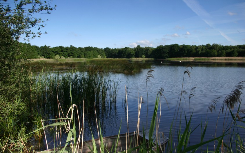 Biosphärenreservat Oberlausitzer Heide und Teichlandschaft › Nationale