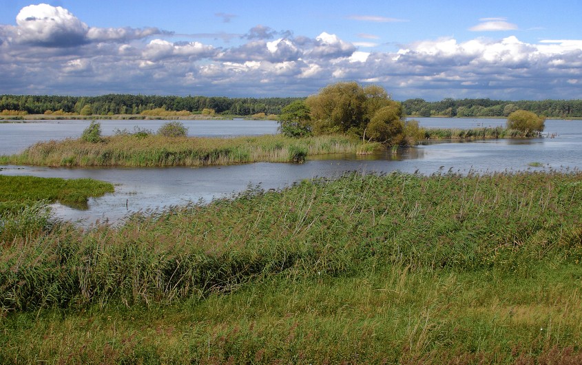 Biosphärenreservat Oberlausitzer Heide und Teichlandschaft › Nationale