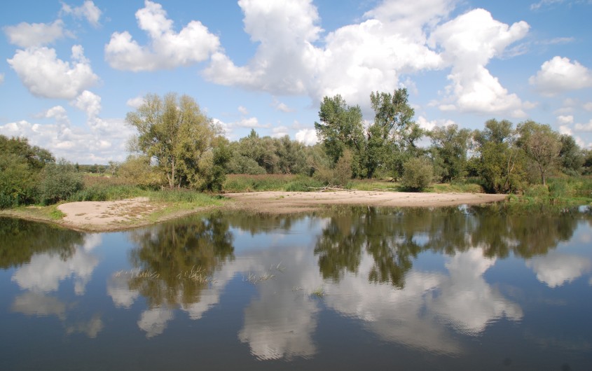 Nationalpark Unteres Odertal › Nationale Naturlandschaften