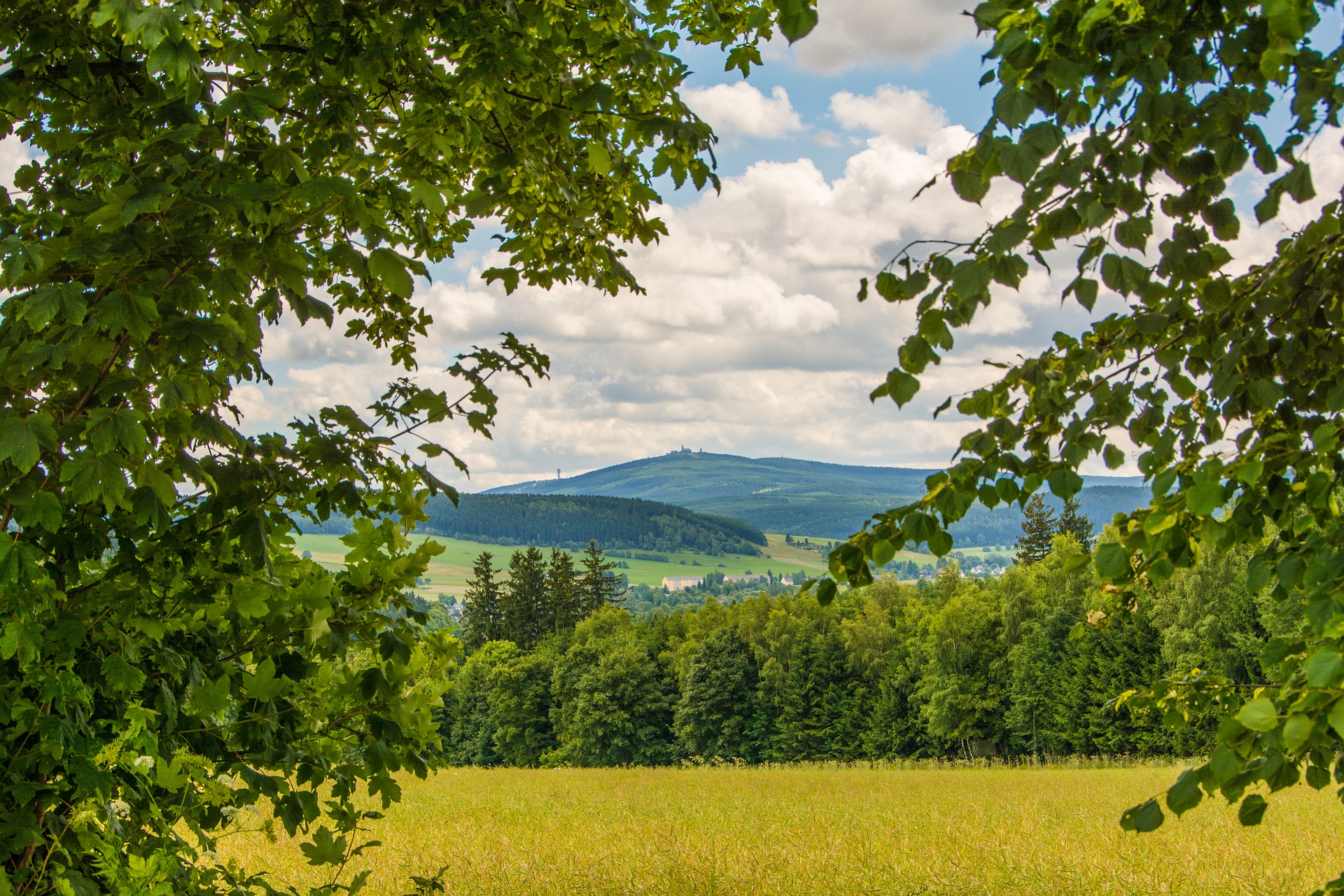 Naturpark Erzgebirge/Vogtland › Nationale Naturlandschaften