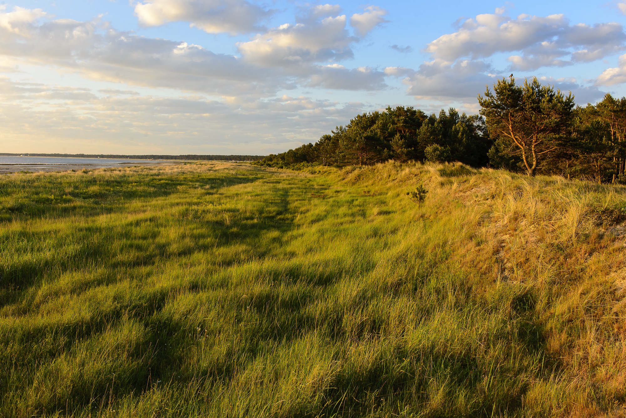 nationalpark-vorpommersche-boddenlandschaft-nationale-naturlandschaften