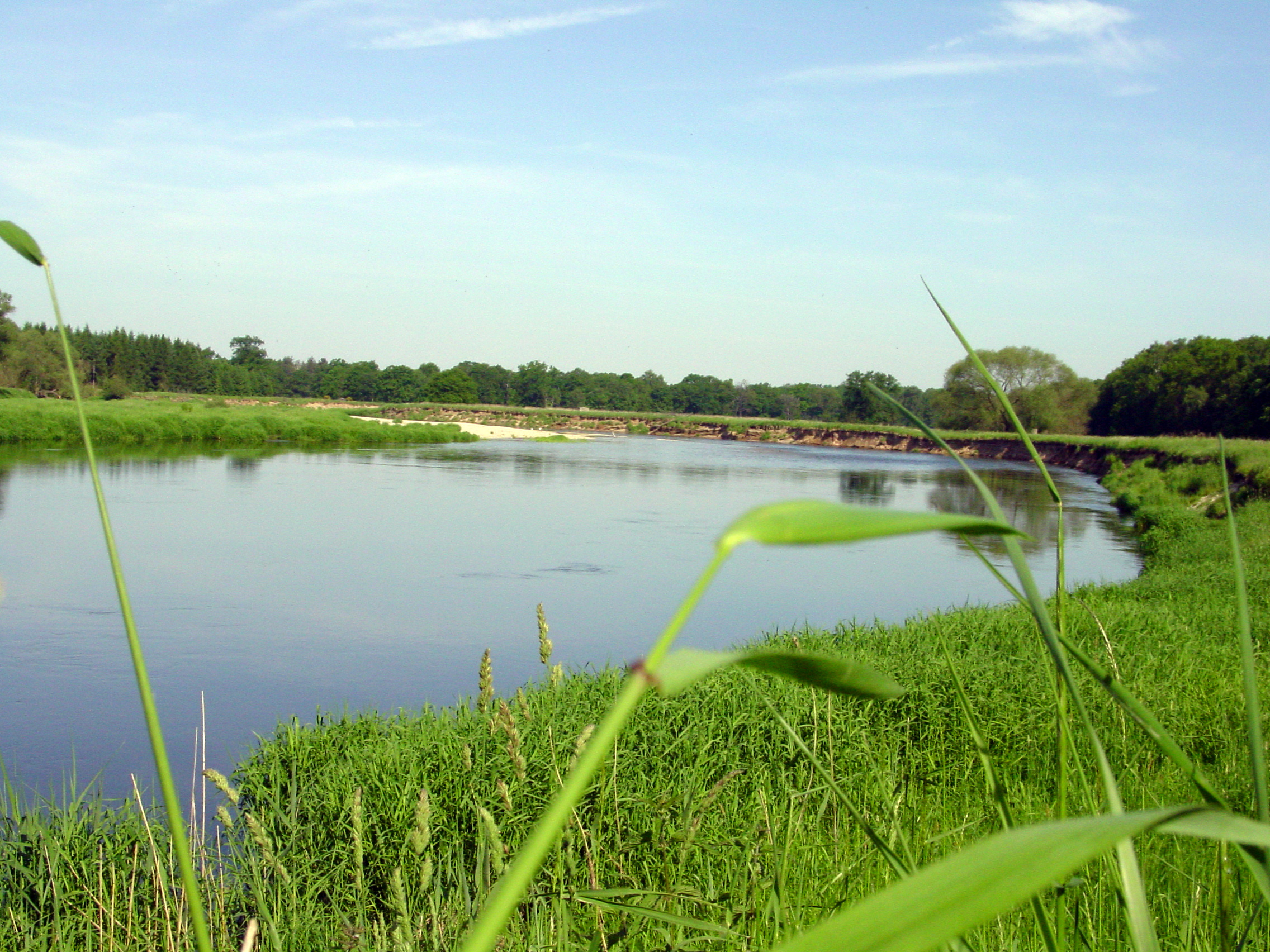 Biosphärenreservat Mittelelbe Nationale Naturlandschaften