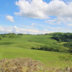 Das hügelige Dörnberggebiet mit saftig-grünen Wiesen. © Annika Ludolph/Naturpark Habichtswald