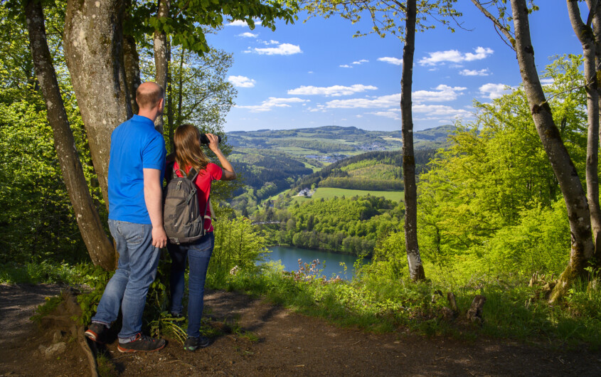 Naturpark Vulkaneifel Nationale Naturlandschaften