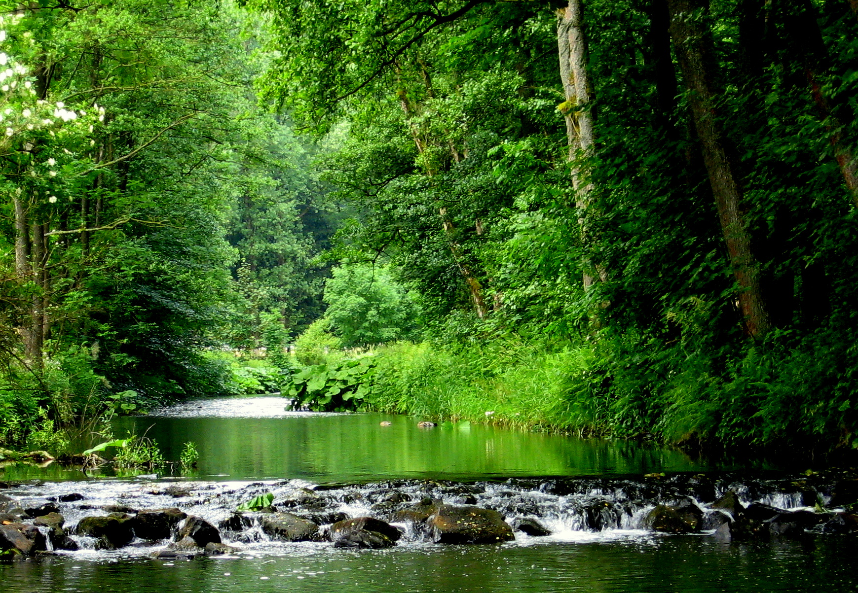 Naturpark Frankenwald Nationale Naturlandschaften