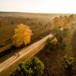 Tiefental in der Misselhorner Hei-de im Herbst. © Lüneburger Heide GmbH