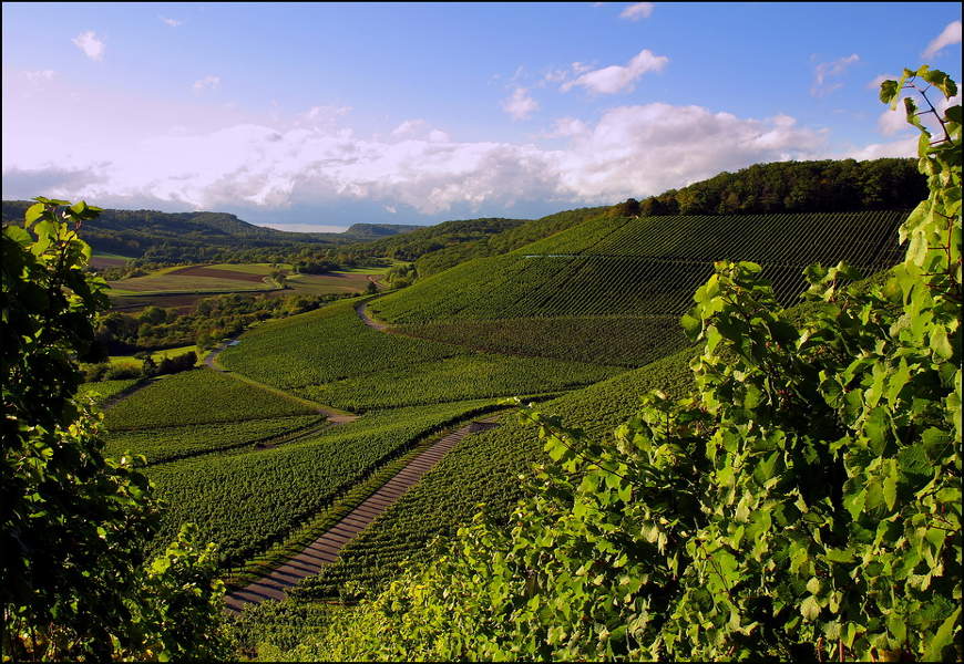 Wachtkopf © VDN-Fotoportal / Thalhäuser