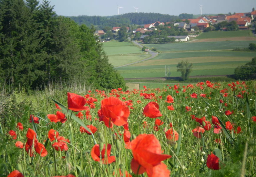 Blick auf Hohenstadt im Naturpark Neckartal-Odenwald