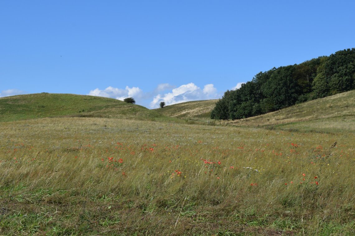 Landwirtschaft - Nationale Naturlandschaften