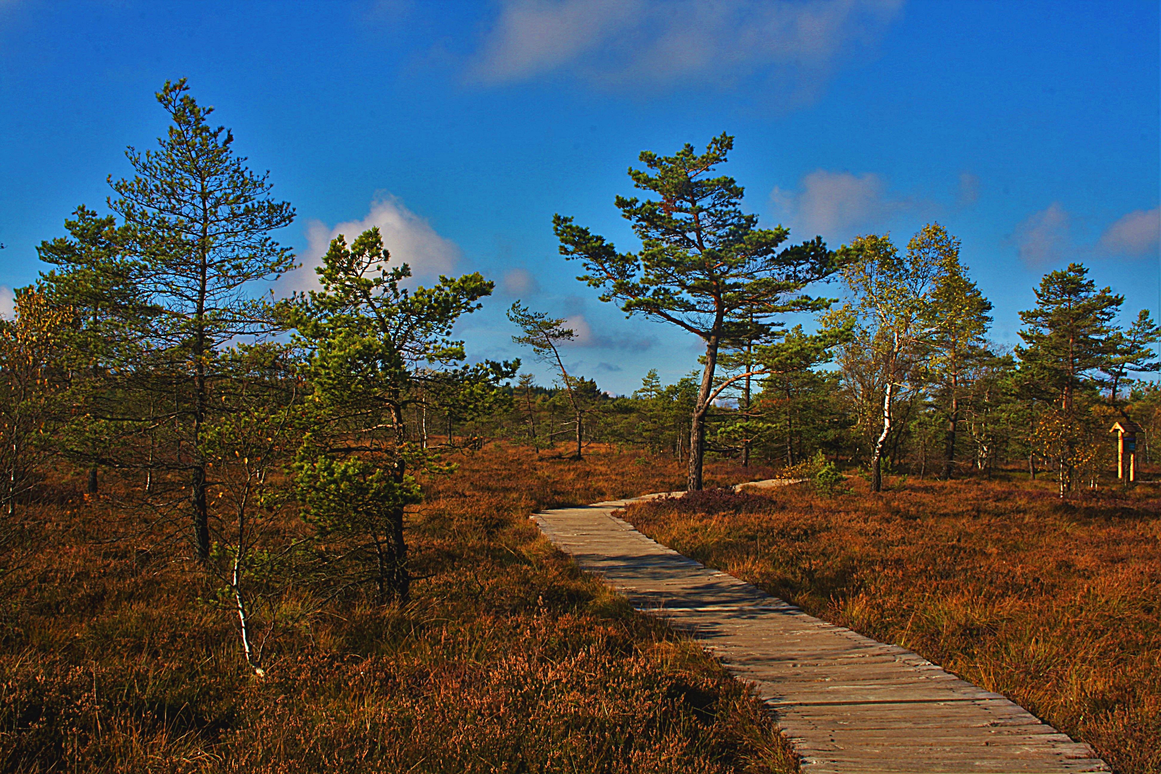 Kriterien für die Anerkennung Biosphärenreservaten Nationale