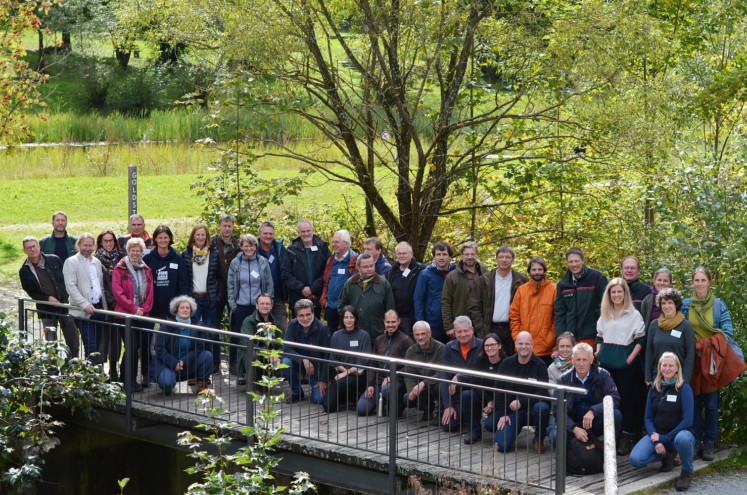 Menschen stehen auf Brücke im Grünen Menschen stehen auf Brücke im Grünen