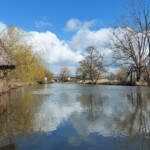 Ein Fluss fließt an einem sonnigen Tag durch den Spreewald