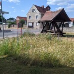 Blühfläche auf innerörtlicher Rasenfläche, daneben ein Picknick-Häuschen Blühfläche auf innerörtlicher Rasenfläche, daneben ein Picknick-Häuschen
