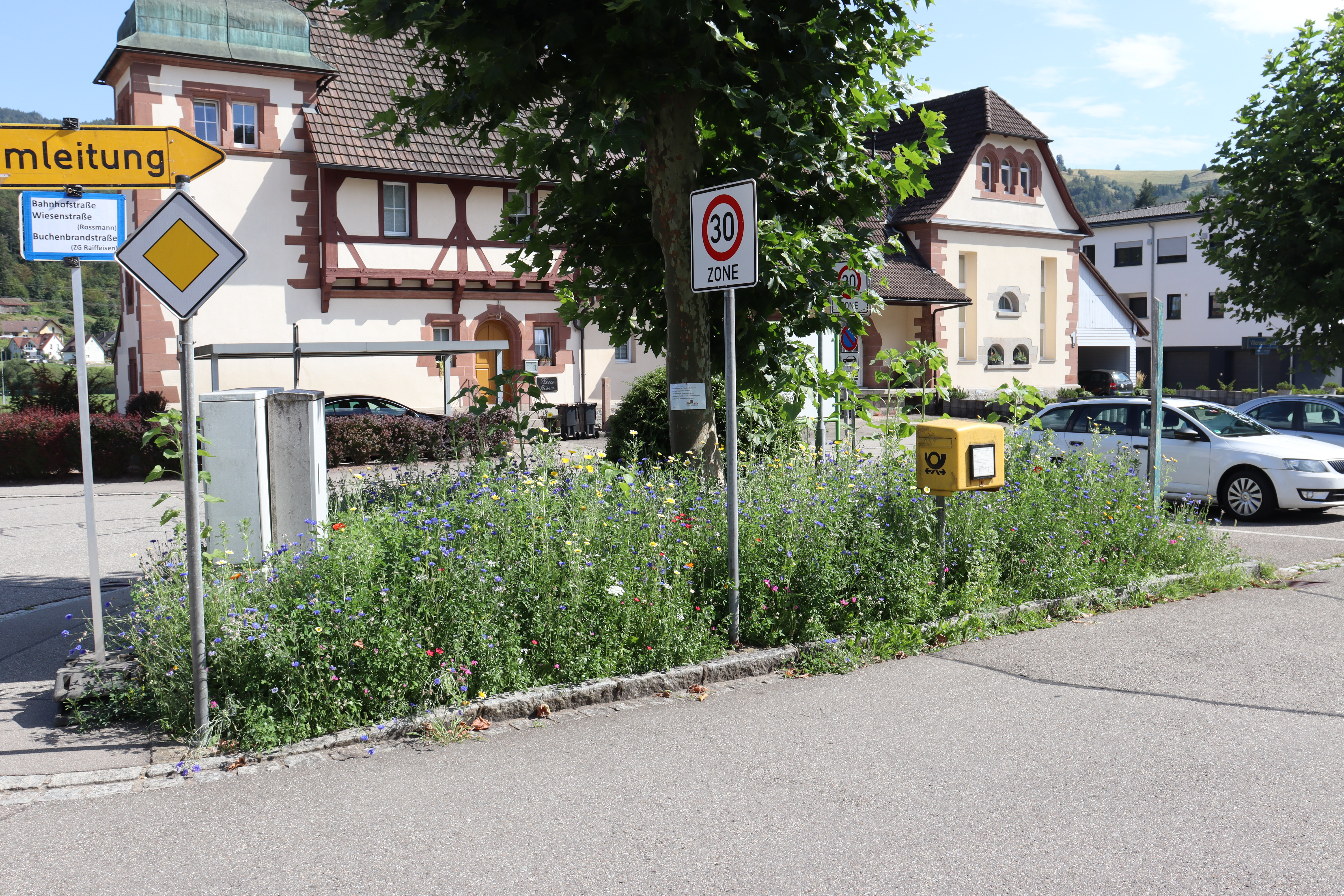 innerörtliche Verkehrsinsel mit ca. 50 cm hohen Blütenpflanzen bewachsen