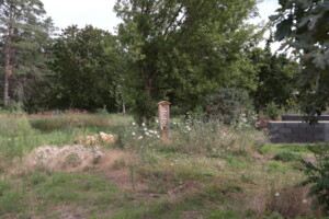 Ein kleineres Insektenhaus umgeben von einer hoch wachsenden Wiese mit weißen Blumen; rechts im Bild Anfang einer Konstruktion; Wald im Hintergrund