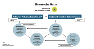 Folgende Ehrensache Natur Akteuere mit Pfeilen verbunden: Nationale Naturlandscahften e.V., Verband Deutscher Naturparke e.V.. Darunter Nationalpark, Biosphärenreservat, Naturpark mit deren jeweiligen Freiwilligenkoordinator*innen und weiteren Hauptamtlichen Freiwilligen. Zusätlich Kooperationspartner zugefügt.