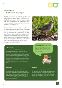 Infoblatt "Die Feldlerche - Nicht nur ein Singvogel!"
