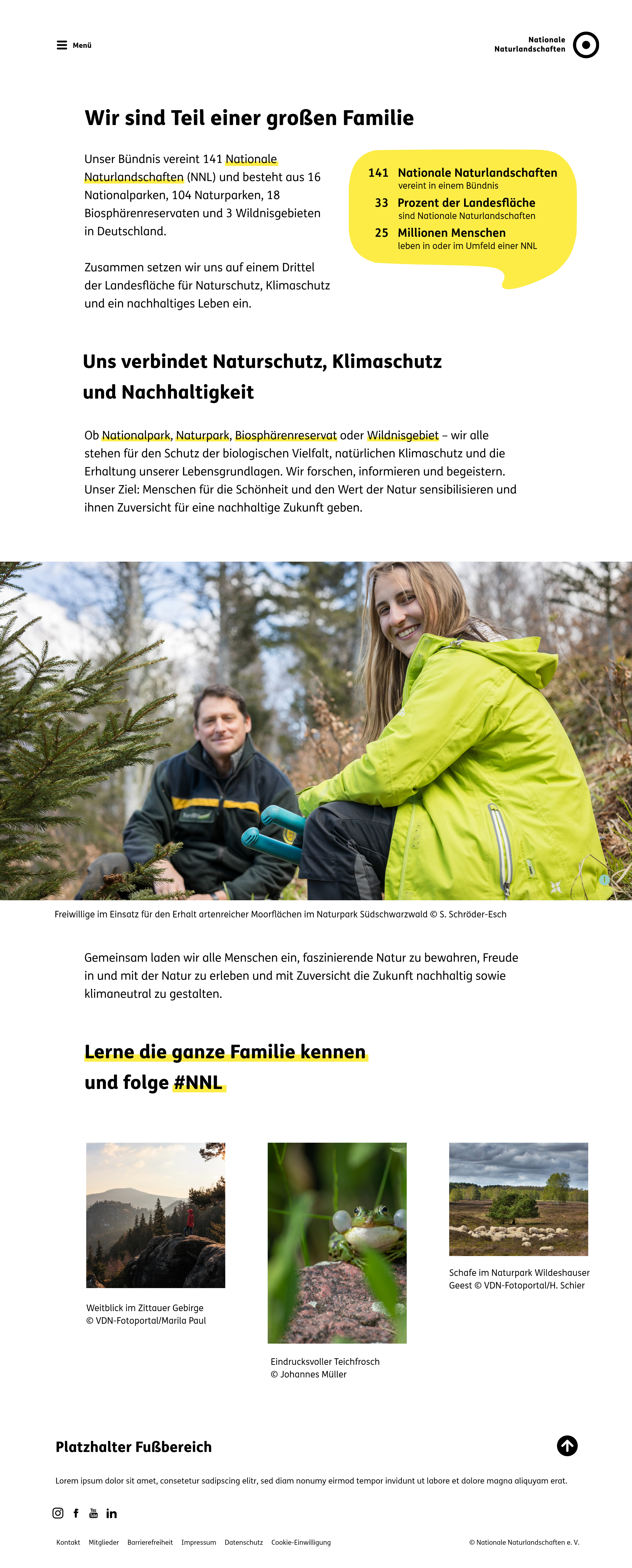 Gestaltungsbeispiel der Landing-Page