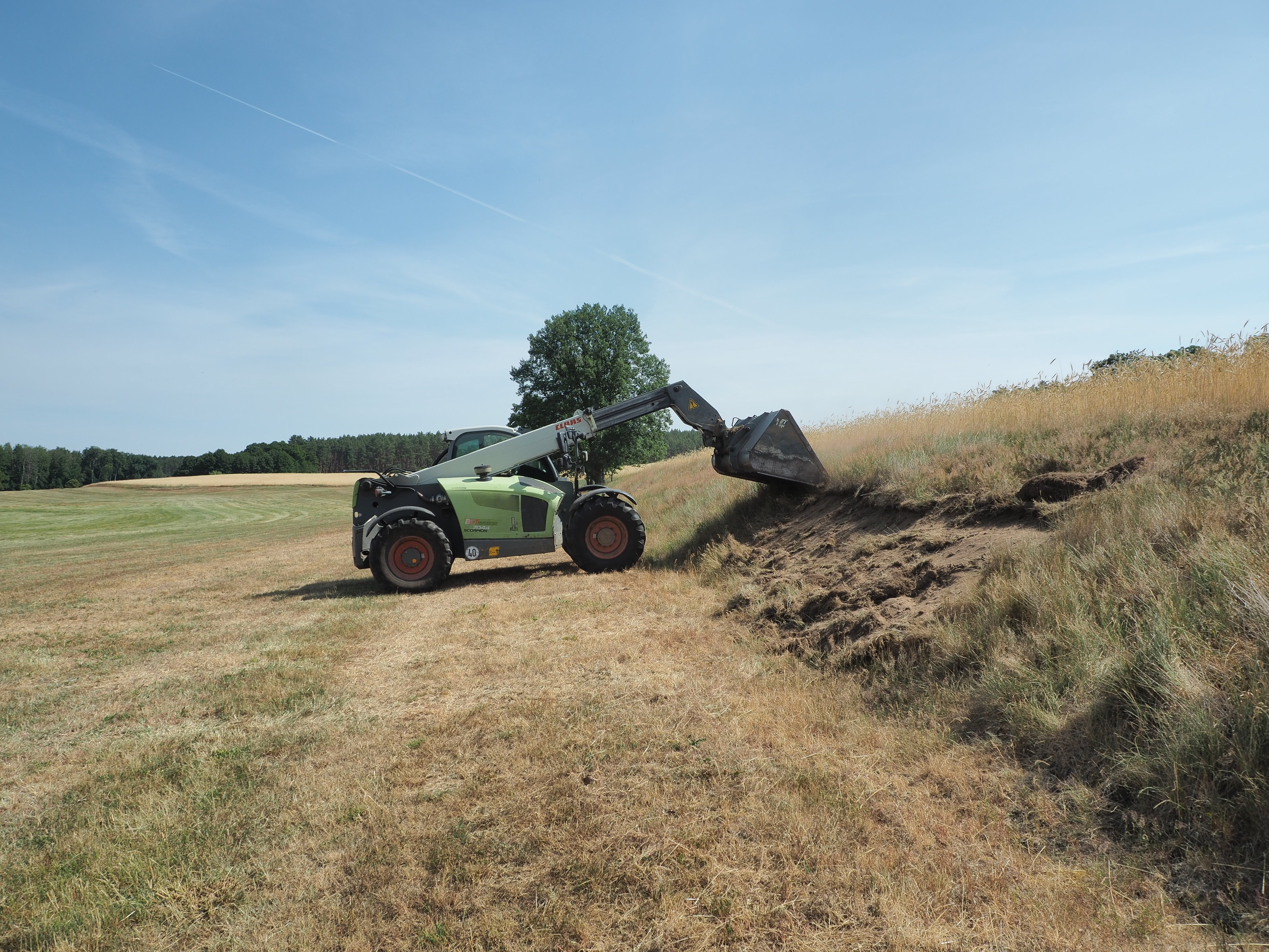 An einer Böschung, die an einer gemähten Wiese angrenzt, schaufelt ein Bagger die aus Gräsern bestehende Vegetation ab.