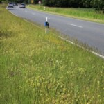 Eine zweispurige Landstraße zwischen Wiesen-Randstreifen, im Hintergrund 4 Autos auf den Fahrbahnen