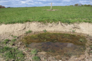 An einer Abbruchkante staut sich Wasser