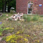 Lesesteinhaufen auf Grünfläche vor Hauswand
