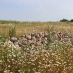 Grünland mit Lesesteinhaufen