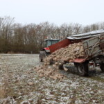 Traktor mit gekippten Anhänger, von dem Steine auf eine Wiese rutschen