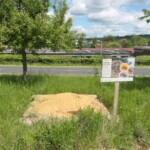 Sandarium in einer Wiese mit Informationsschild neben einer Straße