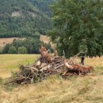 Totholzhaufen in Landschaft mit Grünland und Bäumen