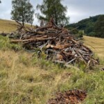 Grünland am Hang mit großem Totholzhaufen