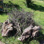 Haufen aus Stamm- und Aststücken sowie Zweigen auf einer Wiese