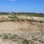 Eine ca. 2 Meter hohe und 10 Meter breite Erdabbruchkante, im Hintergrund Wiese, dann Wald.