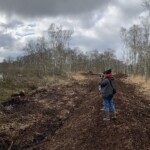Ein noch unbewachsener Erdwall zieht sich um eine Moorlandschaft, bestehend aus einem kleinen mit Moorbirken umstandenen Moor-See – das Roggendorfer Moor. Eine Frau steht auf dem Wall und fotografiert ins Moor hinein.