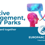 Zu sehen ist der Flyer zum e-Forum „Effective Management, Better Parks – Moving forward together“ am 7. November 2024