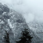 Im Hintergrund ist ein alpiner Felsen zu sehen, im Vordergrund Baumwipfel. Alles ist mit einer dünnen Schneeschicht bedeckt.