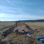 Pflanzstreifen in Agrarlandschaft mit bereitliegendem Material für den Bau eines Schutzzaunes