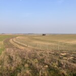 Ein abgesteckter Bereich für eine Heckenpflanzung auf einem offenen Feld
