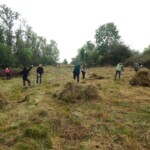Auf einer Wiese rechen elf Erwachsene große Haufen an geschnittenem Gras zusammen.