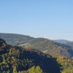 Eine dicht bewaldete Gebirgslandschaft mit verschiedenen Grün-, Braun- und Rottönen.