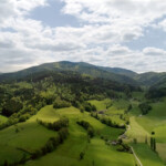 Landschaftsbild mit grünen Almwiesen im Vordergrund und bewaldeten Bergen im Hintergrund