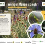 Infoblatt "Weniger Mähen ist mehr!" Infoblatt "Weniger Mähen ist mehr!"
