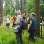 In einem Wald steht eine Gruppe von Menschen in einem Halbkreis um einen Mann zusammen, der zu ihnen spricht. In einem Wald steht eine Gruppe von Menschen in einem Halbkreis um einen Mann zusammen, der zu ihnen spricht.