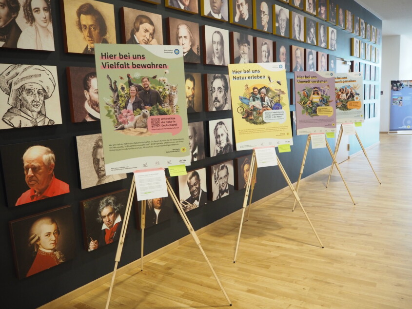Vor einer Wand stehen vier Staffeleien mit Plakaten der Bündniskommunikation der Nationalen Naturlandschaften. Sie zeigen die vier zentralen Themen-Cluster Natur erleben, Umwelt verstehen, Vielfalt bewahren und Zukunft gestalten Vor einer Wand stehen vier Staffeleien mit Plakaten der Bündniskommunikation der Nationalen Naturlandschaften. Sie zeigen die vier zentralen Themen-Cluster Natur erleben, Umwelt verstehen, Vielfalt bewahren und Zukunft gestalten