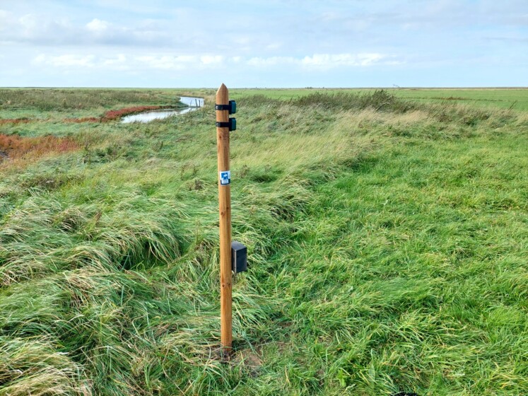 Einer der Messstandorte des Projekts KI-Nationalpark im Nationalpark Niedersächsisches Wattenmeer – hier erfassen Wildtierkamera und Audiorekorder Daten zur Artenvielfalt und zu Umweltveränderungen. Bildautor: Florian Packmor. Einer der Messstandorte des Projekts KI-Nationalpark im Nationalpark Niedersächsisches Wattenmeer – hier erfassen Wildtierkamera und Audiorekorder Daten zur Artenvielfalt und zu Umweltveränderungen. Bildautor: Florian Packmor.