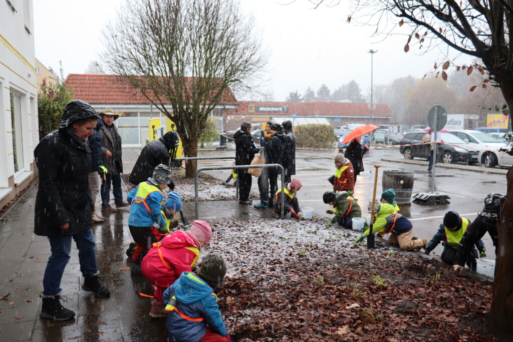 Etwa 10 junge Kinder hocken bei leichtem Schneefall am Rand einer Beetfläche neben einem Parkplatz und arbeiten mit den Händen in der Erde, drumherum einige Erwachsene