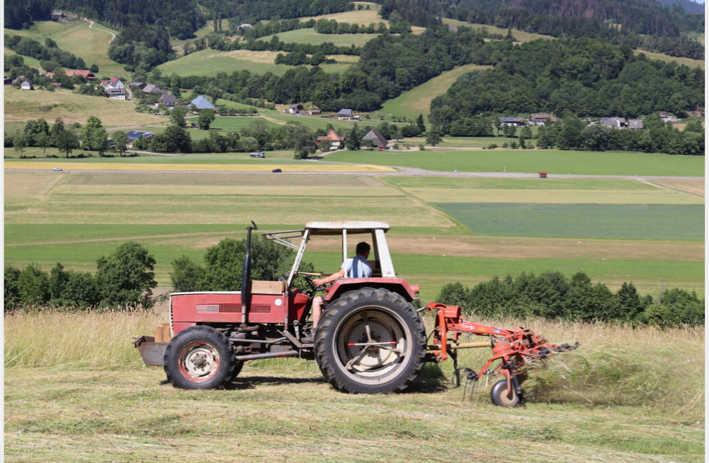 Maßnahmenseite Verwendung faunafreundlicher Mähtechnik