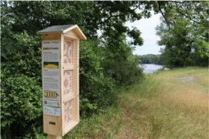 Am Rande einer Uferböschung ist eine dreiteilige Insektennisthilfe aus Holz aufgestellt. Seitig des Holzkastens hängt eine Erklärtafel mit Bildern.