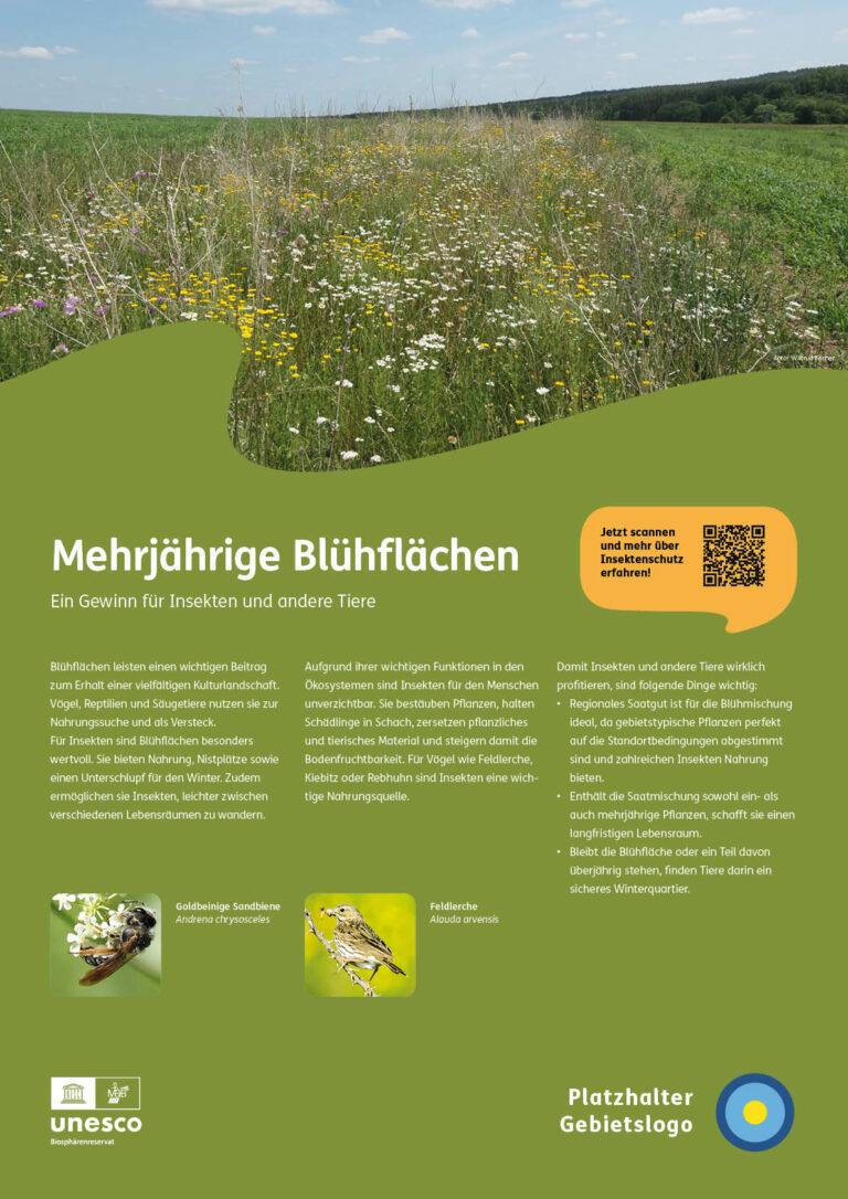 01_Schautafel_Bluehstreifen_Vorlage_ANSICHT5_ohne-Fremdlogos