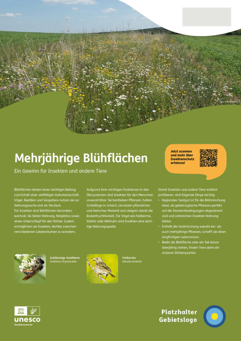 02_Schautafel_Bluehstreifen_Vorlage_ANSICHT2_Zusatzflaeche-oben